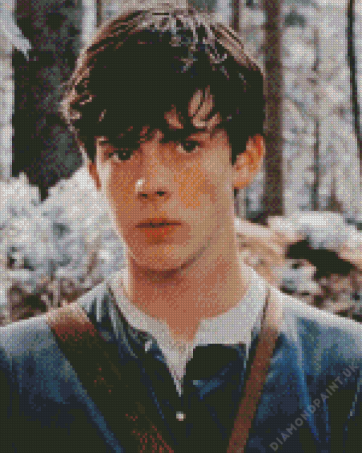 Skandar Keynes Diamond Painting