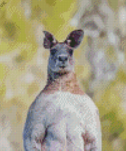 Strong Eastern Grey Kangaroo Diamond Painting