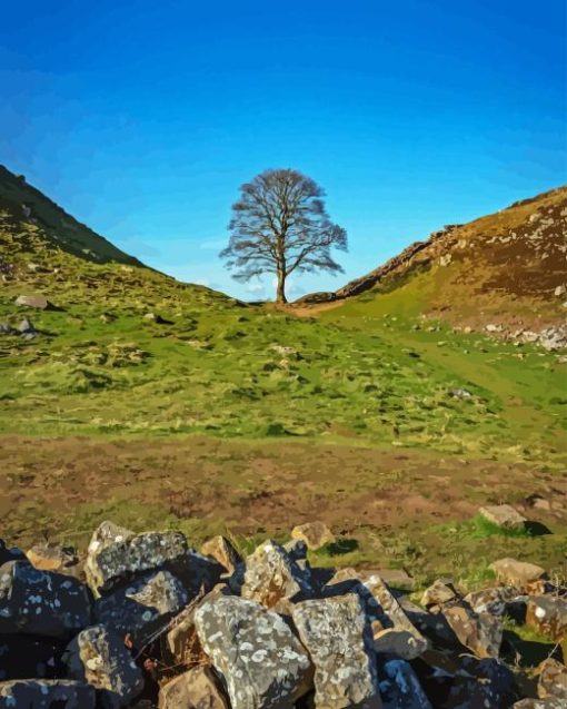 Sycamore Gap Diamond Painting