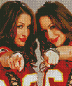 The Bella Twins Diamond Painting