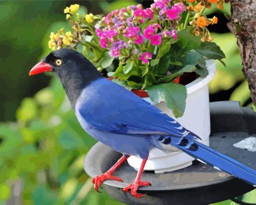 The Taiwan Blue Magpie Diamond Painting