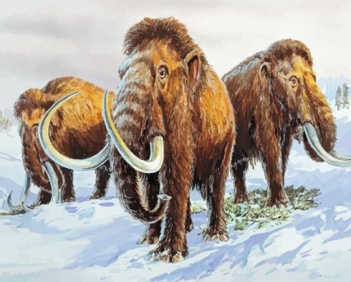 Three Woolly Mammoths Diamond Painting