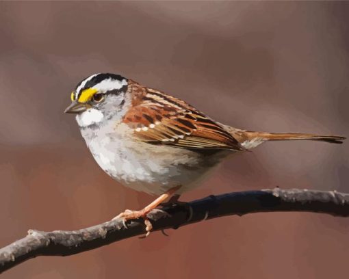 Throated Sparrow Diamond Painting