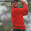 Tiger Woods Diamond Painting