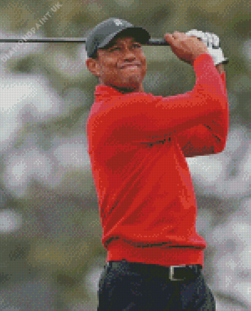 Tiger Woods Diamond Painting