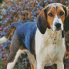 Treeing Walker Coonhound Diamond Painting