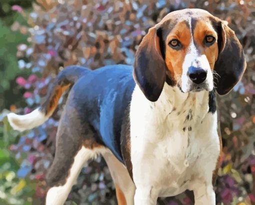 Treeing Walker Coonhound Diamond Painting