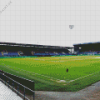 Turf Moor Diamond Painting