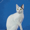 White Japanese Bobtail Diamond Painting