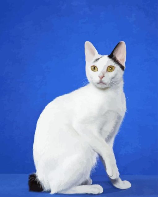 White Japanese Bobtail Diamond Painting