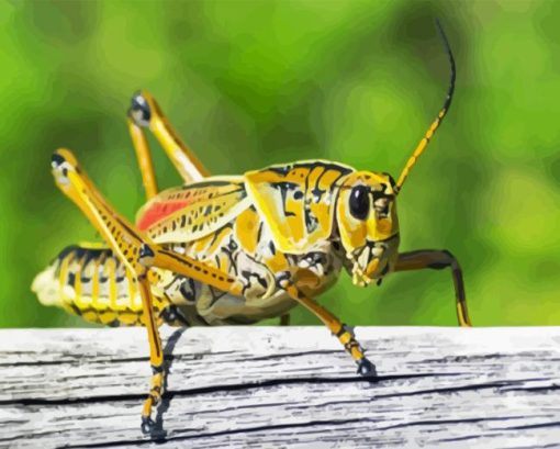 Yellow Cricket Diamond Painting