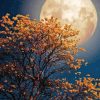 Yellow Tree In The Night Sky Moon Diamond Painting