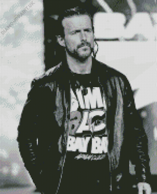 Adam Cole Diamond Painting