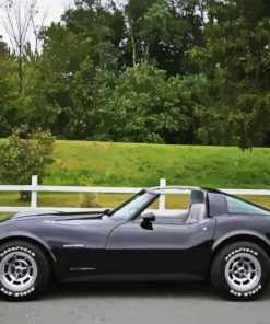 Black 82 Corvette Car Diamond Painting