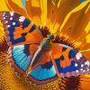 Butterfly On A Sunflower Diamond Painting