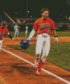 Clemson University Team Baseballers Diamond Painting