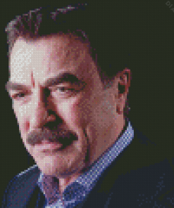 Close Up Tom Selleck Diamond Painting