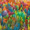 Colorful Autumn Forest Diamond Painting