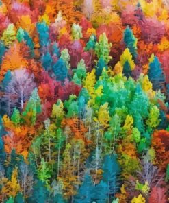 Colorful Autumn Forest Diamond Painting