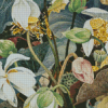 Cressida Campbell Lotus Diamond Painting