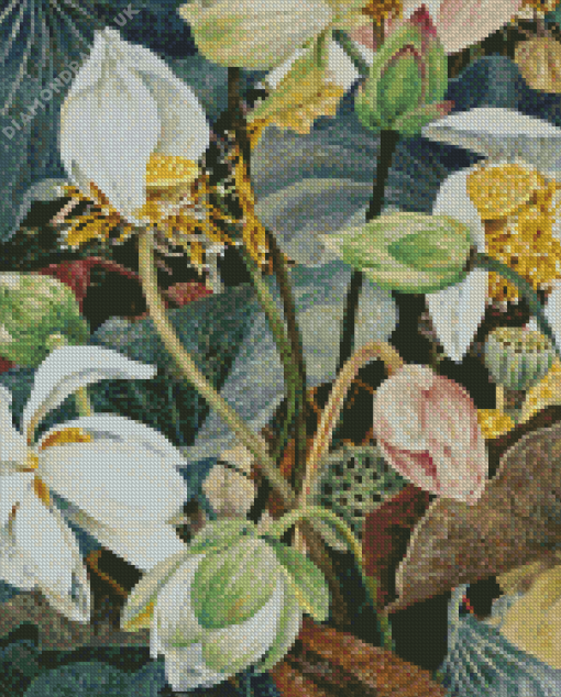 Cressida Campbell Lotus Diamond Painting