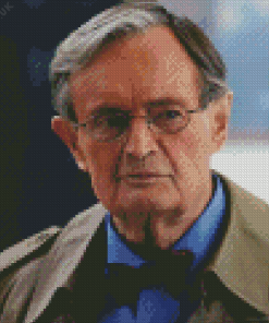 David Mccallum Diamond Painting