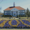 James Madison University Diamond Painting