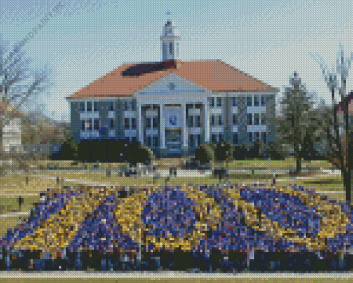 James Madison University Diamond Painting