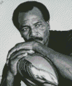 Jim Brown Diamond Painting