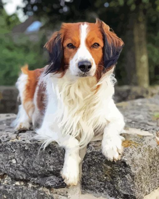 Kooikerhondje Diamond Painting