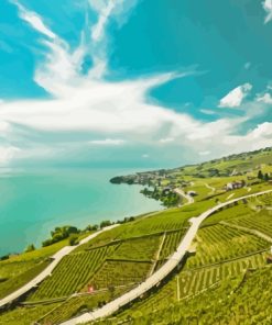 Lavaux Vineyard Landscape Diamond Painting