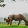 Mare And Foal In Pasture Diamond Painting