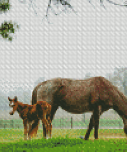 Mare And Foal In Pasture Diamond Painting