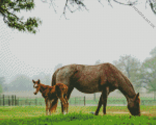 Mare And Foal In Pasture Diamond Painting