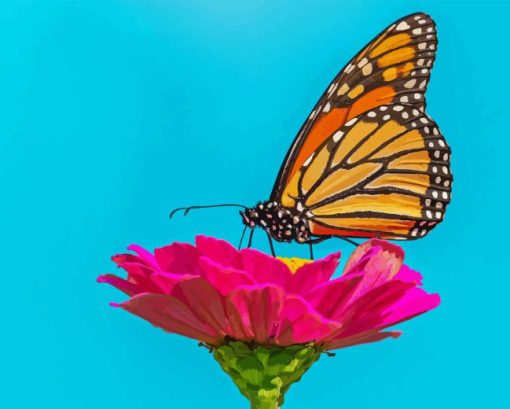 Monarch Butterfly On Pink Zinnia Diamond Painting