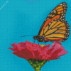 Monarch Butterfly On Pink Zinnia Diamond Painting