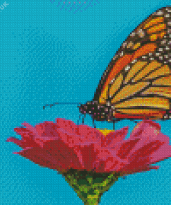 Monarch Butterfly On Pink Zinnia Diamond Painting