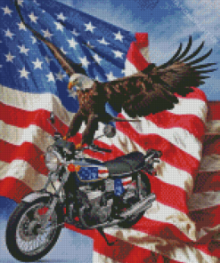 Motorcycle Eagle Diamond Painting