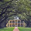 Oak Alley Plantation Diamond Painting