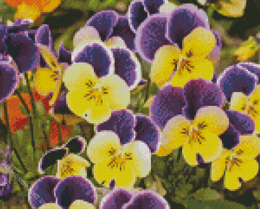 Pansy Flower Diamond Painting