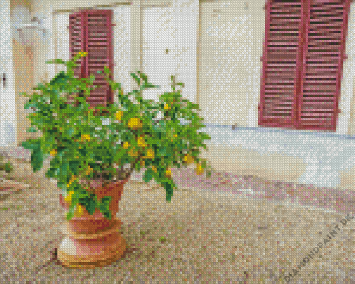 Potted Lemon Tree In Pot Diamond Painting