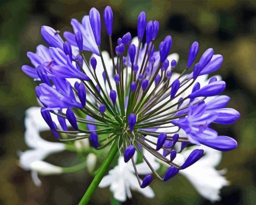 Purple Agapanthus Flower Diamond Painting