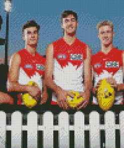 Sydney Swans Diamond Painting