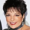 The American Actress Liza Minnelli Diamond Painting