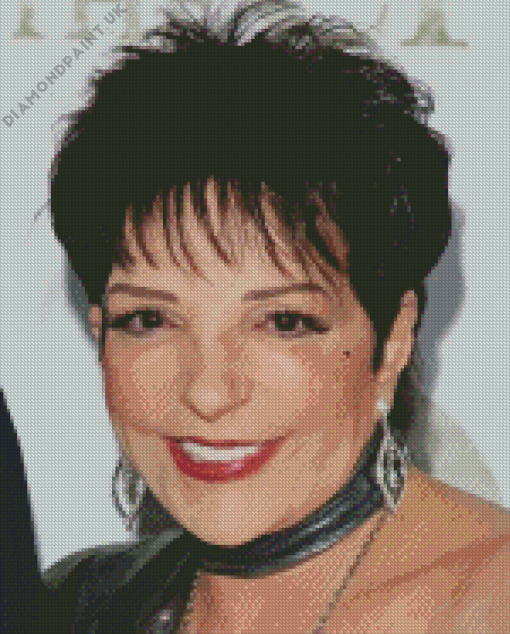 The American Actress Liza Minnelli Diamond Painting