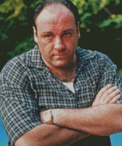 Tony Soprano Diamond Painting