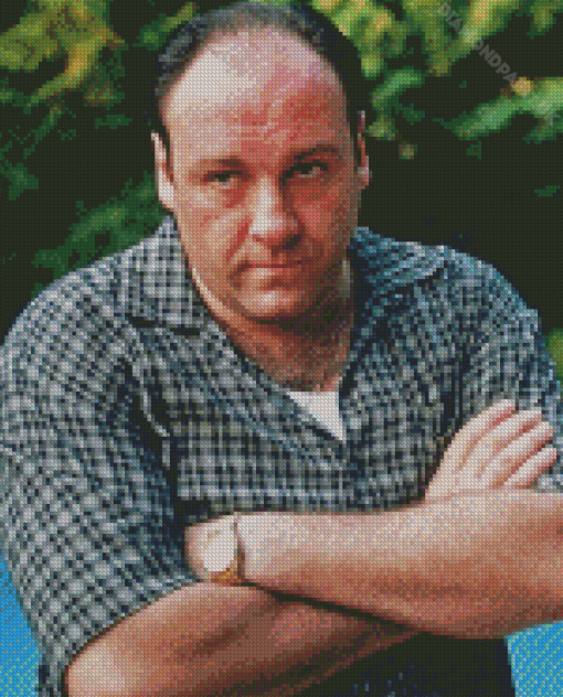 Tony Soprano Diamond Painting