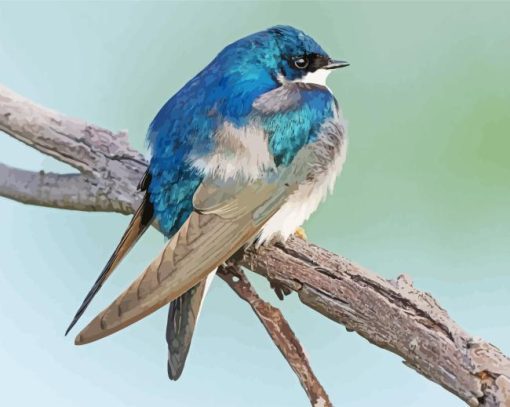 Tree Swallow Bird On Tree Diamond Painting