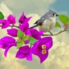 Tufted Titmouse And Bougainvillea Diamond Painting