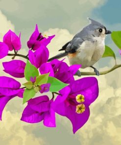 Tufted Titmouse And Bougainvillea Diamond Painting